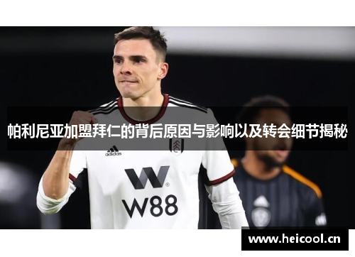 帕利尼亚加盟拜仁的背后原因与影响以及转会细节揭秘