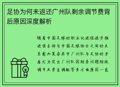 足协为何未返还广州队剩余调节费背后原因深度解析